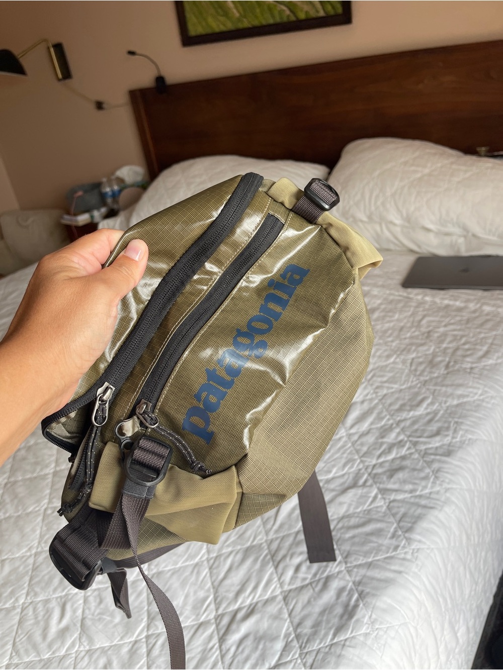 Patagonia Olive Green Crossbody Waist Pack with Blue Logo